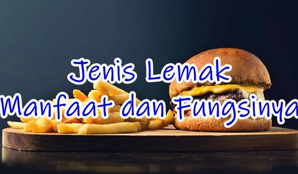 pengertian dan jenis lemak