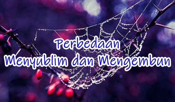 Arti Mengembun dan Menyublim